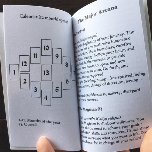 Anima Mundi Tarot Cards for Divination and Guidance